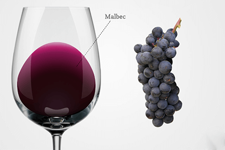 Malbec wine