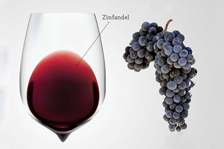 Primitivo (Zinfandel) wine