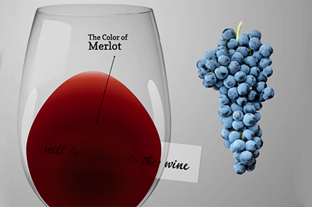 Merlot wine