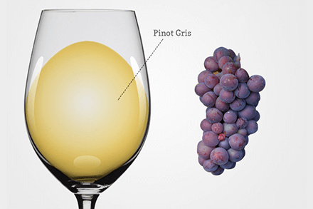 Pinot Grigio wine