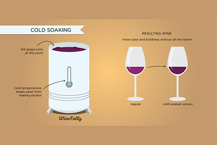 Red Wine Processing