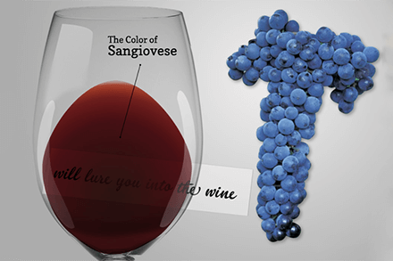 Sangiovese wine
