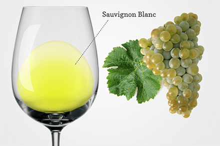 Sauvignon Blanc wine